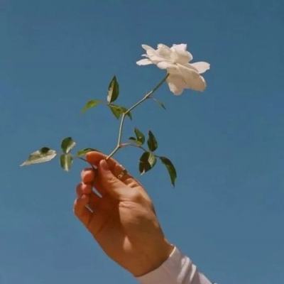 鼎龙股份2025年净利润同比增38.32%半导体业务营收占比57%,新老动能转换期面临多维考验